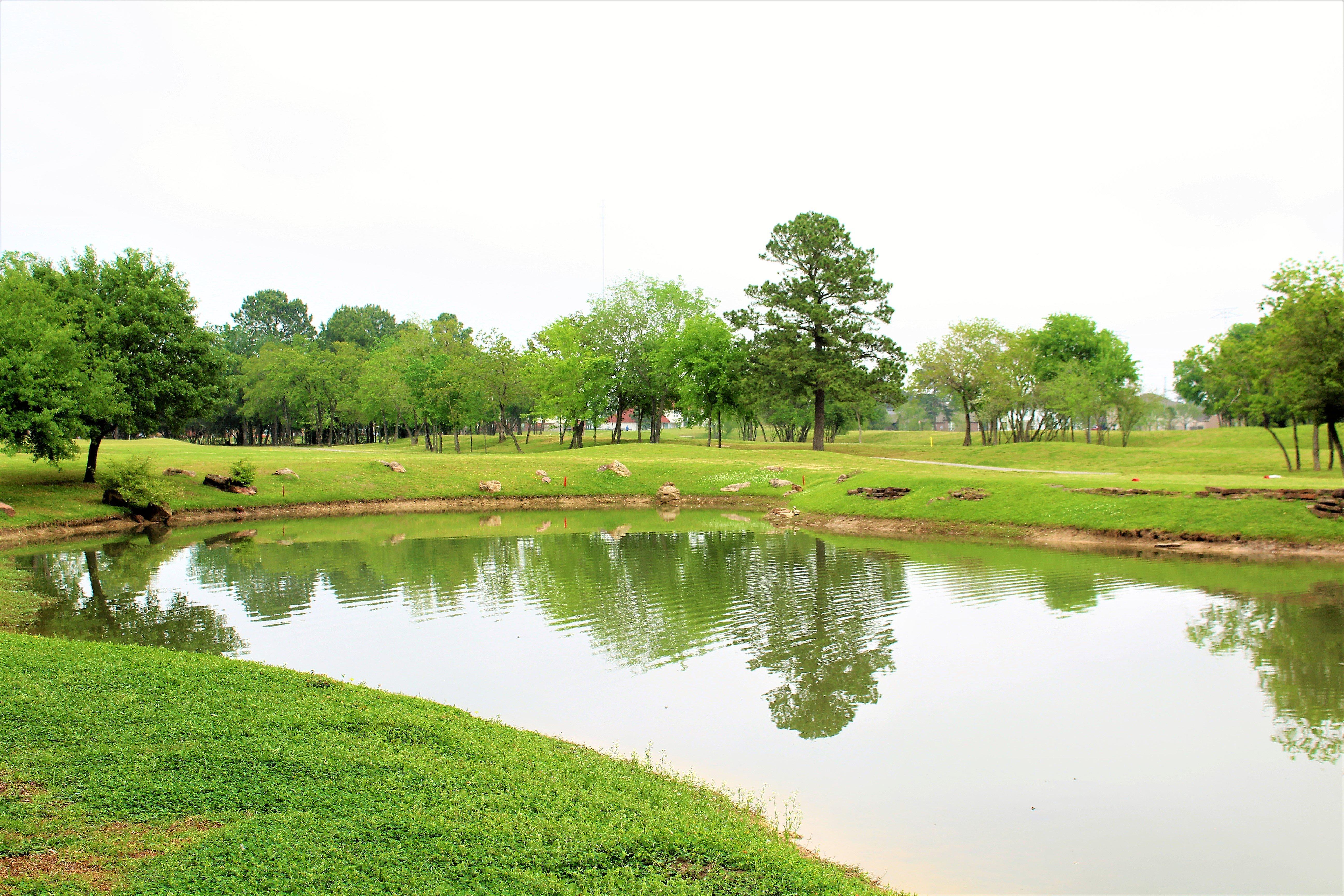 Hotel Staybridge Houston - Willowbrook By Ihg Louetta