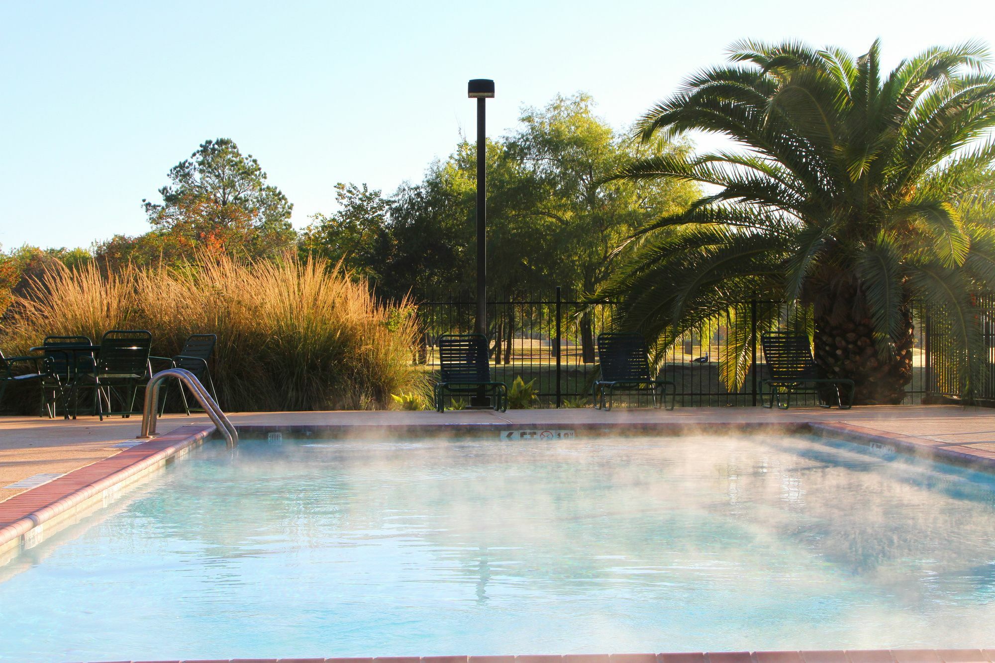 Hotel Staybridge Houston - Willowbrook By Ihg Louetta